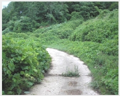  2022Ÿ��54016  �����