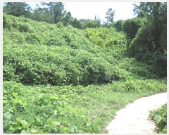  2022Ÿ��54016  �����