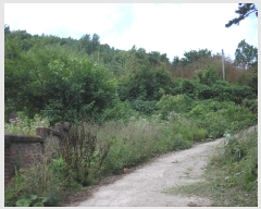  2022Ÿ��54016  �����