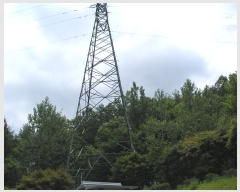  2022Ÿ��54016  �����