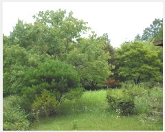  2022Ÿ��54016  �����