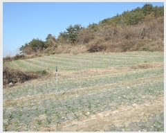  2022Ÿ5694  ﱺ ݻ ︮ 151-7      (1)