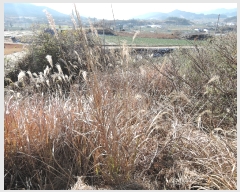  2022Ÿ5694  ﱺ ݻ ︮ 151-7      (1)