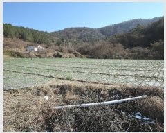  2022Ÿ5694  ﱺ ݻ ︮ 151-7      (1)