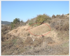  2022Ÿ5694  ﱺ ݻ ︮ 151-7      (1)