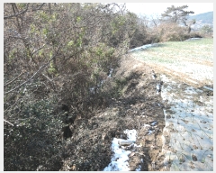  2022Ÿ5694  ﱺ ݻ ︮ 151-7      (1)