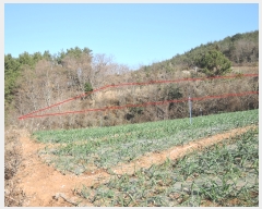  2022Ÿ5694  ﱺ ݻ ︮ 151-7      (1)