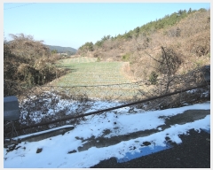  2022Ÿ5694  ﱺ ݻ ︮ 151-7      (1)