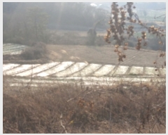  2022Ÿ5694  ﱺ ݻ ︮ 151-7      (1)