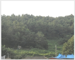  2022Ÿ��54146 ���� ������ ���̸� ����� ��63      ����(�Ӿ�)���