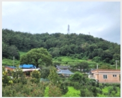  2022Ÿ��54146 ���� ������ ���̸� ����� ��63      ����(�Ӿ�)���