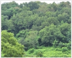  2022Ÿ��54146 ���� ������ ���̸� ����� ��63      ����(�Ӿ�)���