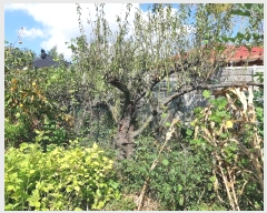  2022Ÿ��56135 ���� ���ʱ� ������ �ĵ��� 627-10      ����(��1)���