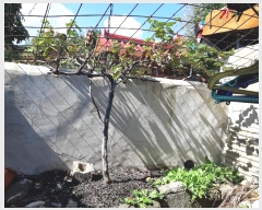  2022Ÿ��56135 ���� ���ʱ� ������ �ĵ��� 627-10      ����(��1)���