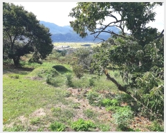  2022Ÿ��56135 ���� ���ʱ� ������ �ĵ��� 627-10      ����(��1)���