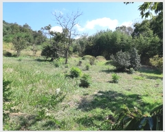  2022Ÿ��56135 ���� ���ʱ� ������ �ĵ��� 627-10      ����(��1)���