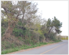  2022Ÿ��52270 ���� ������ ȭ��� ���ָ� ��238-22      ����(����)���