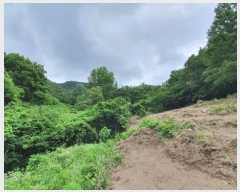  2022Ÿ��2510 ���� ������ ������ �絿�� 383      ����(��1)���