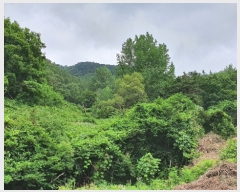  2022Ÿ��2510 ���� ������ ������ �絿�� 383      ����(��1)���