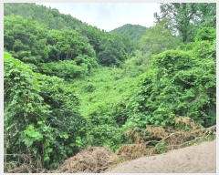  2022Ÿ��2510 ���� ������ ������ �絿�� 383      ����(��1)���