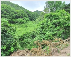  2022Ÿ��2510 ���� ������ ������ �絿�� 383      ����(��1)���