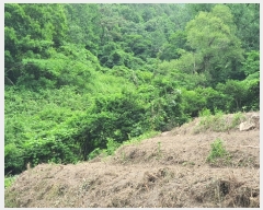  2022Ÿ��2510 ���� ������ ������ �絿�� 383      ����(��1)���