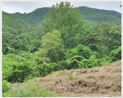  2022Ÿ��2510 ���� ������ ������ �絿�� 383      ����(��1)���