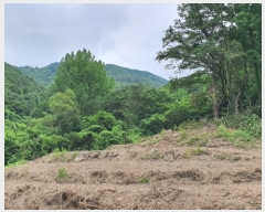  2022Ÿ��2510 ���� ������ ������ �絿�� 383      ����(��1)���