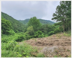  2022Ÿ��2510 ���� ������ ������ �絿�� 383      ����(��1)���