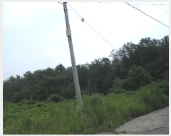  2022Ÿ2930  õ ط ȣθ 443-2      (Ӿ)