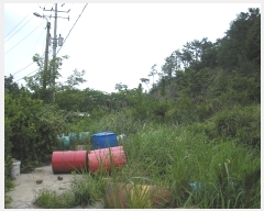  2022Ÿ2930  õ ط ȣθ 443-2      (Ӿ)