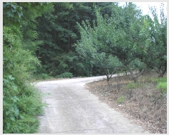  2022Ÿ2930  õ ط ȣθ 443-2      (Ӿ)