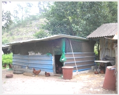  2022Ÿ2930  õ ط ȣθ 443-2      (Ӿ)