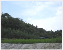  2022Ÿ2930  õ ط ȣθ 443-2      (Ӿ)