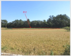  2022Ÿ��4219 ���� ���ﱺ ������ ������ 559-4      ����(��1)���