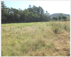  2022Ÿ��4219 ���� ���ﱺ ������ ������ 559-4      ����(��1)���