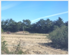  2022Ÿ��4219 ���� ���ﱺ ������ ������ 559-4      ����(��1)���