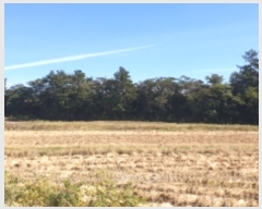  2022Ÿ��4219 ���� ���ﱺ ������ ������ 559-4      ����(��1)���