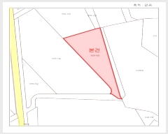  2022Ÿ��4219 ���� ���ﱺ ������ ������ 559-4      ����(��1)���