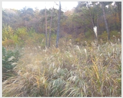  2022Ÿ4714  õ  Ǳ 23-1      (1)