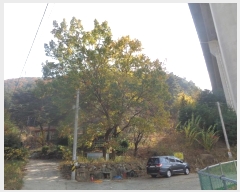  2022Ÿ4714  õ  Ǳ 23-3      (ķ)