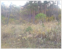  2022Ÿ4714  õ  Ǳ 23-1      (1)