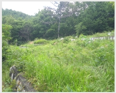  2022Ÿ��54405 ���� ������ ������ ��9-2       ����(�Ӿ�)���