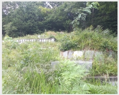  2022Ÿ��54405 ���� ������ ������ ��9-2       ����(�Ӿ�)���