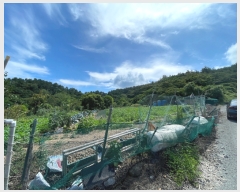  2022Ÿ��1497 ���� �ϵ��� ��ȭ�� �������� 111-31      ���ð��