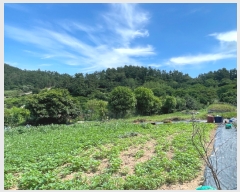  2022Ÿ��1497 ���� �ϵ��� ��ȭ�� �������� 111-31      ���ð��