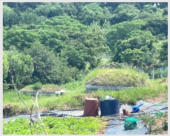  2022Ÿ��1497 ���� �ϵ��� ��ȭ�� �������� 111-31      ���ð��