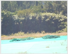  2022Ÿ��2193 ���� �ϵ��� ���ϸ� ������ 910      ����(��1)���