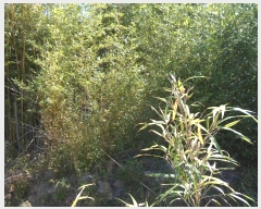  2022Ÿ��2193 ���� �ϵ��� ���ϸ� ������ 910      ����(��1)���