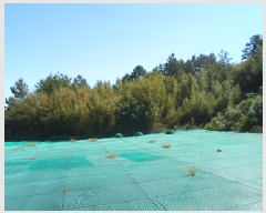  2022Ÿ��2193 ���� �ϵ��� ���ϸ� ������ 910      ����(��1)���